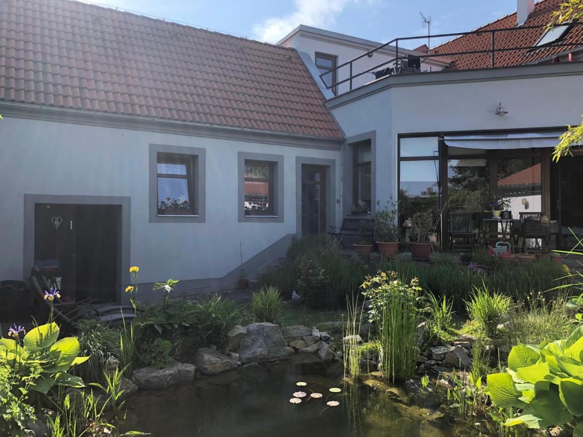 Apartman U Jezirka Velke Prilepy 外观 照片